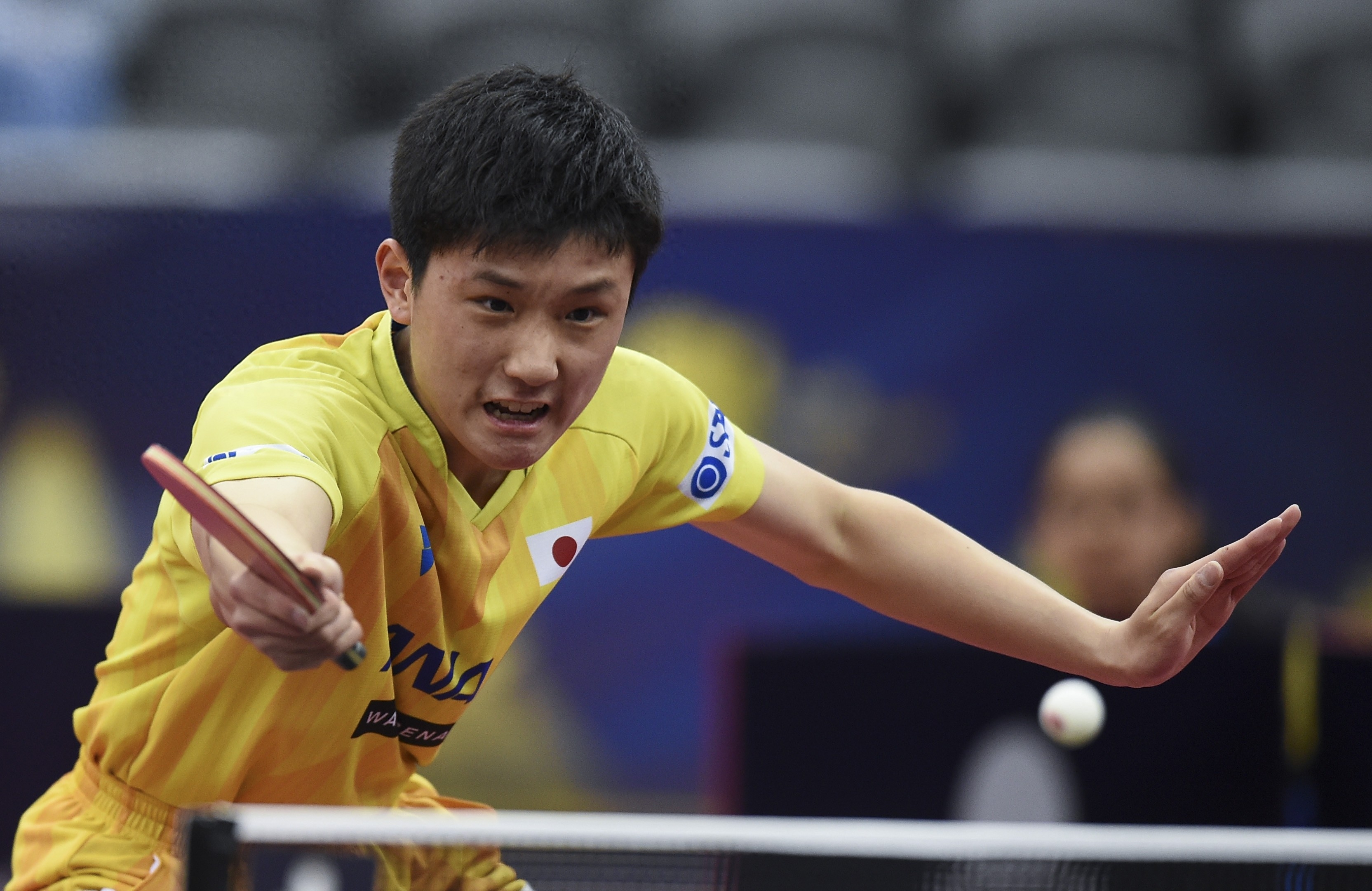 張本智和簡(jiǎn)歷及個(gè)人資料,張本智和最新消息 張本智和簡(jiǎn)歷及個(gè)人資料,張本智和最新消息