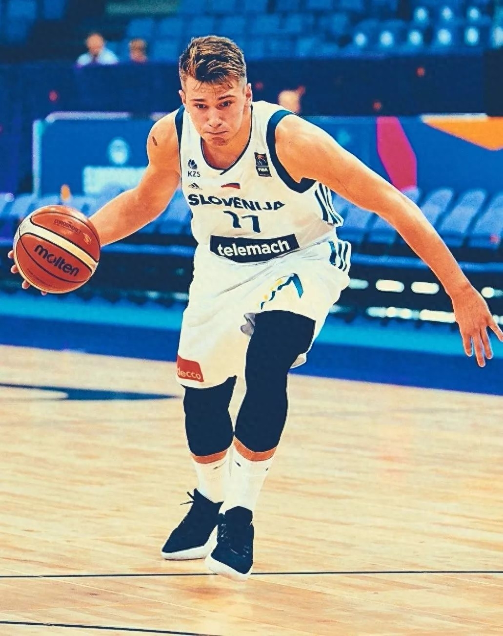 盧卡東契奇年輕帥照,盧卡東契奇簡介