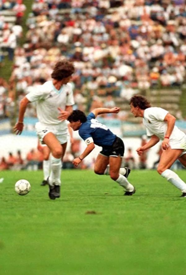 86年世界杯阿根廷奪冠歷程,阿根廷陣容