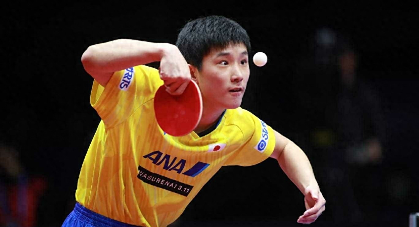 張本智和簡(jiǎn)歷及個(gè)人資料,張本智和最新消息 張本智和簡(jiǎn)歷及個(gè)人資料,張本智和最新消息