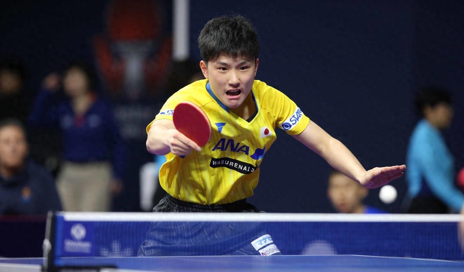 張本智和簡(jiǎn)歷及個(gè)人資料,張本智和最新消息 張本智和簡(jiǎn)歷及個(gè)人資料,張本智和最新消息